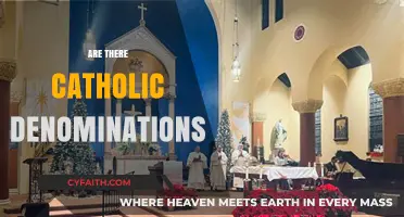 Exploring the Unity and Diversity Within the Catholic Church