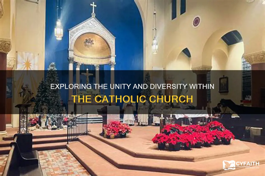 are there catholic denominations