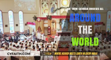 Catholic Dioceses: A Global Presence