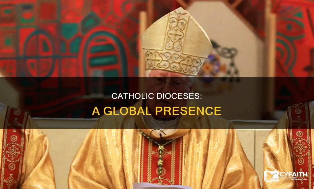 are there catholic dioceses all around the world