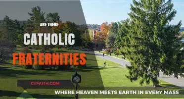 Exploring Catholic Fraternities: Faith, Brotherhood, and Campus Life