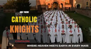 Do Catholic Knights Still Exist Today? Exploring Their Role and Legacy