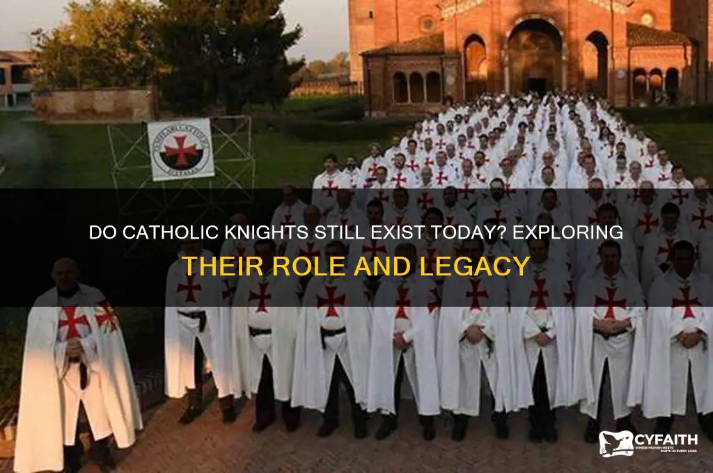 are there catholic knights