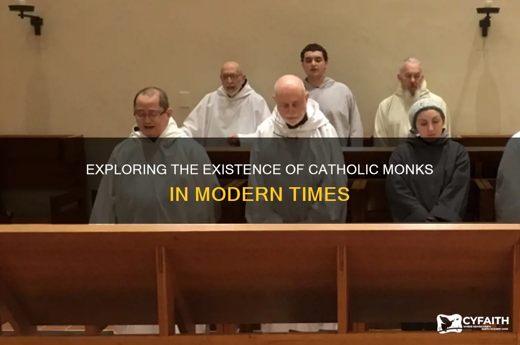 are there catholic monks