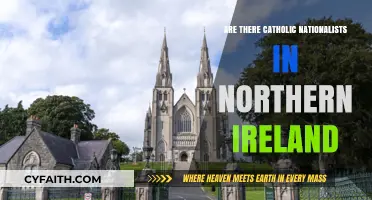 Catholic Nationalists in Northern Ireland: Who Are They?