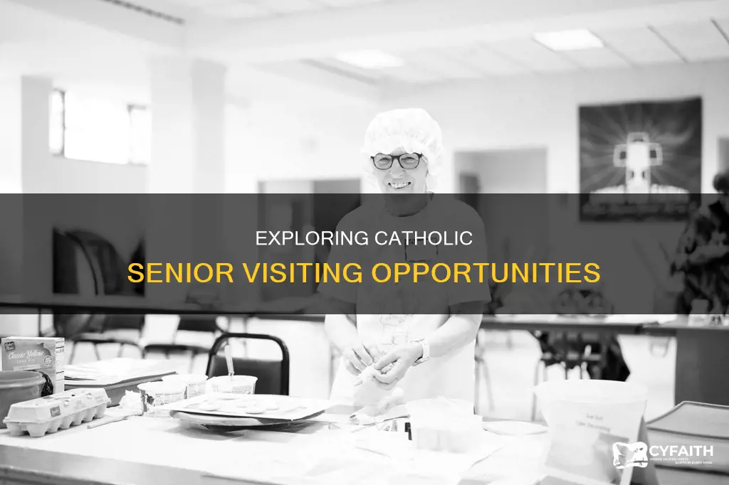 are there catholic organizations for senior visiting