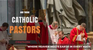 Catholic Pastors: Understanding the Role of Priests in the Church