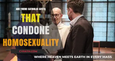 Catholic Sects: Embracing Homosexuality?
