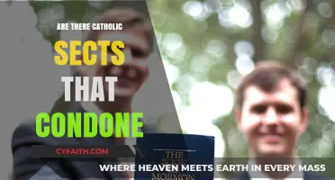 Catholic Sects: What's Condoned and What's Not