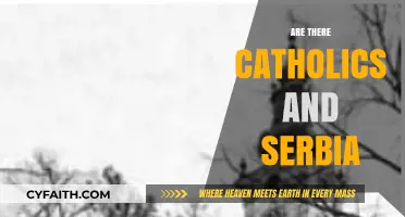 Exploring Catholicism in Serbia: History, Presence, and Cultural Influence