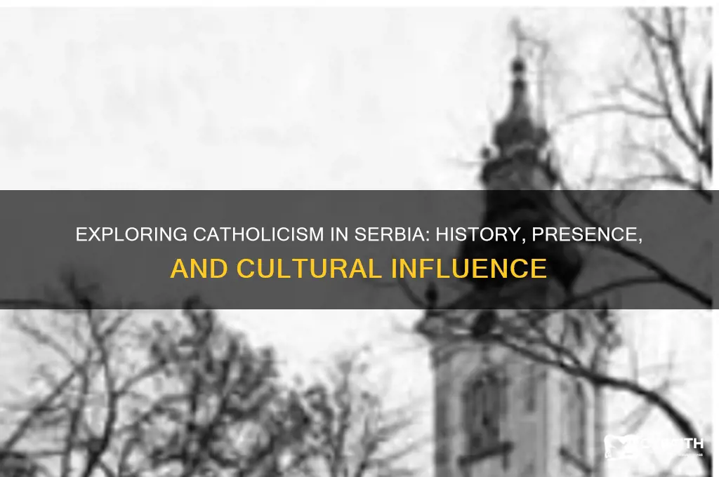 are there catholics and serbia