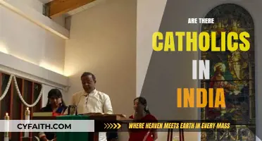 Exploring India's Catholic Presence: A Historical and Cultural Overview