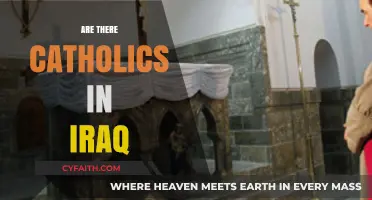 Exploring Iraq's Catholic Presence: Faith Amidst Diversity and Challenges