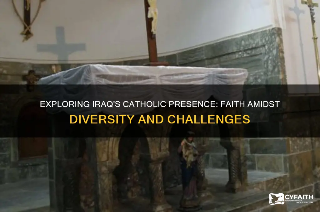 are there catholics in iraq