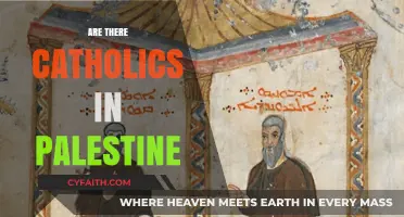 Exploring the Presence of Catholics in Palestine: A Historical and Cultural Overview