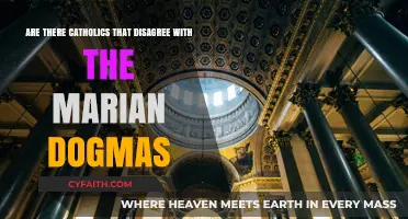 Marian Dogmas: Exploring Catholic Disagreements and Diverse Theological Perspectives