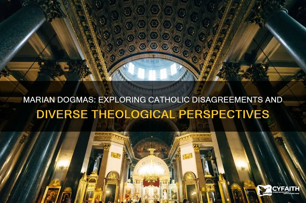 are there catholics that disagree with the marian dogmas