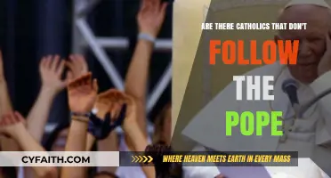 Do All Catholics Follow the Pope? Exploring Dissenting Beliefs