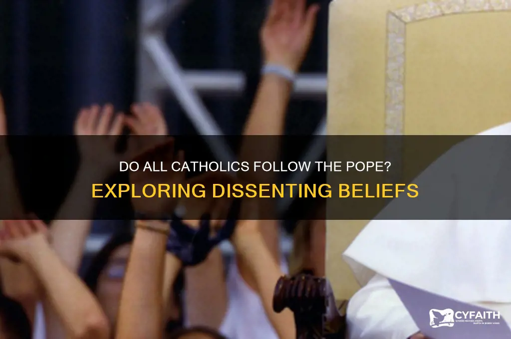 are there catholics that don