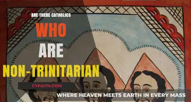 Catholics and Non-Trinitarian Views: Exploring the Divide