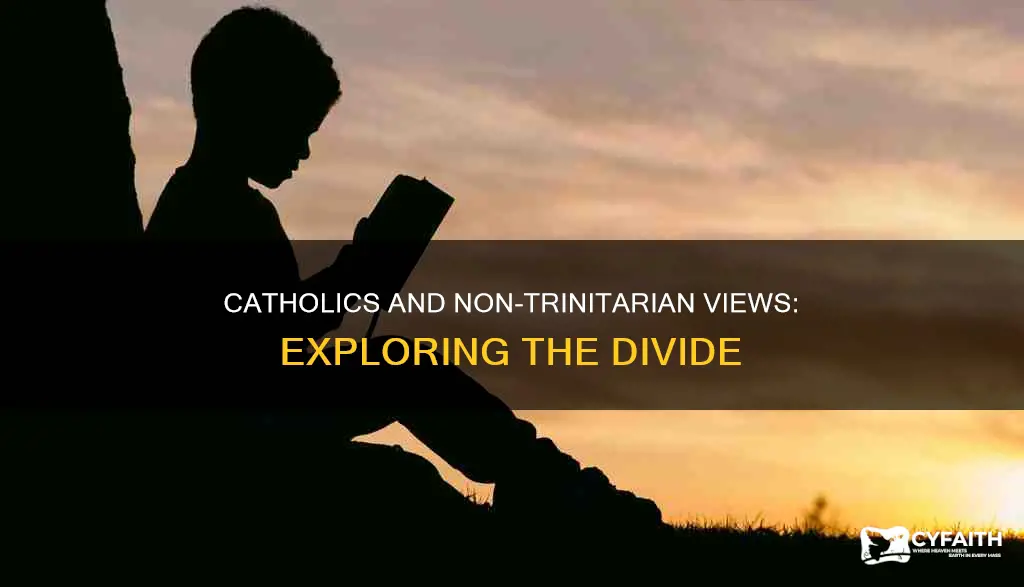 are there catholics who are non-trinitarian