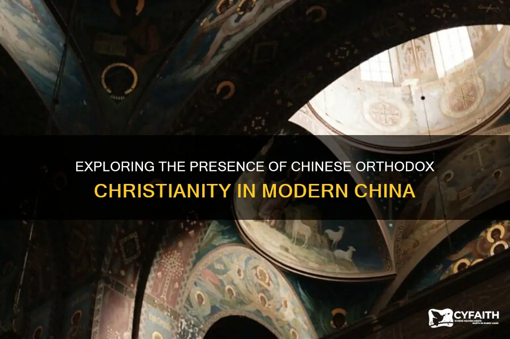 are there chinese orthodox