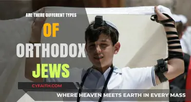 Exploring the Diverse World of Orthodox Judaism: Types and Traditions