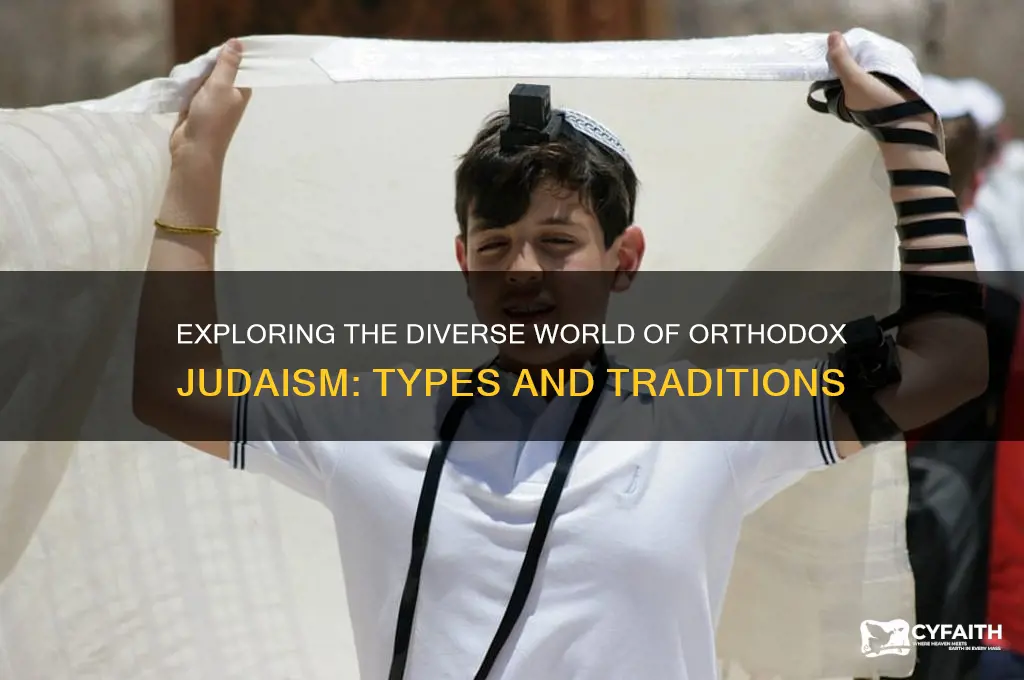 are there different types of orthodox jews