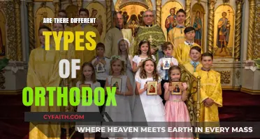 Exploring the Diversity: Understanding Various Types of Orthodox Traditions