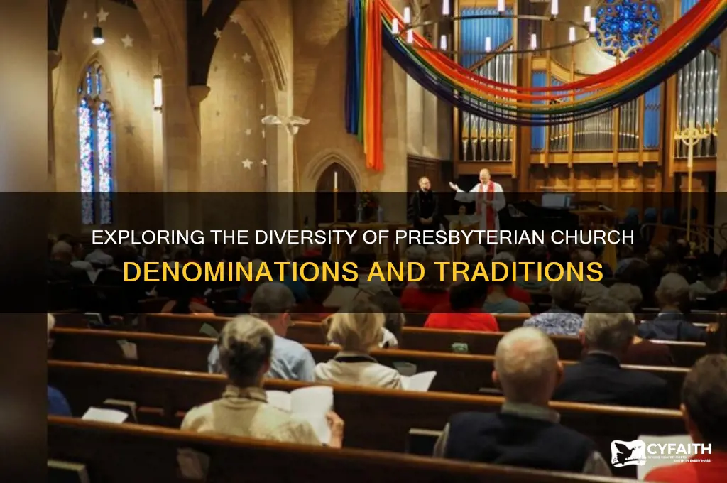 are there different types of presbyterian churches
