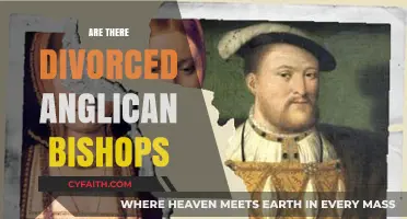 Divorced Anglican Bishops: Exploring the Reality and Church Stance