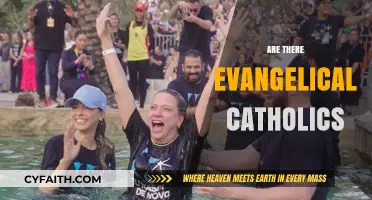 Exploring the Intersection: Evangelical Catholics and Their Faith Identity
