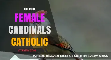Female Cardinals in the Catholic Church: Fact or Fiction?