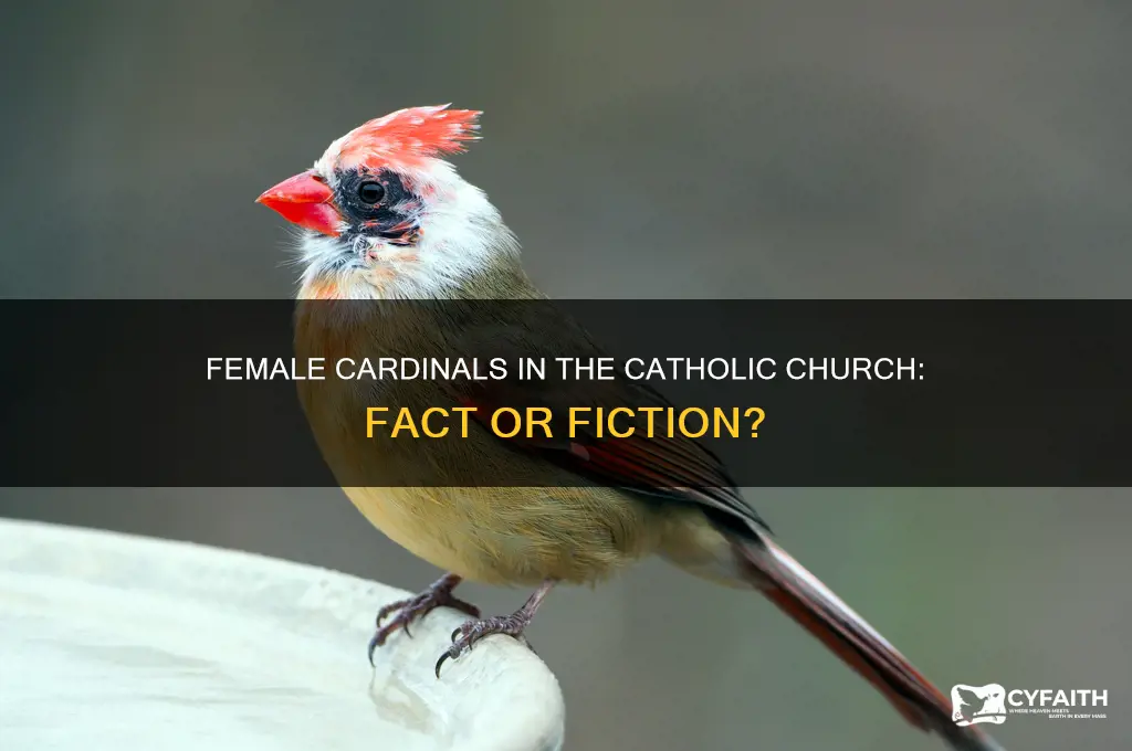 are there female cardinals catholic