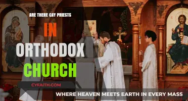 Gay Priests in the Orthodox Church: Exploring a Complex Reality