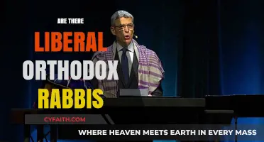 Liberal Orthodox Rabbis: Navigating Tradition and Modernity in Judaism