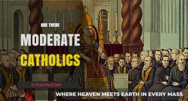 Exploring the Spectrum: Do Moderate Catholics Exist in Modern Faith?