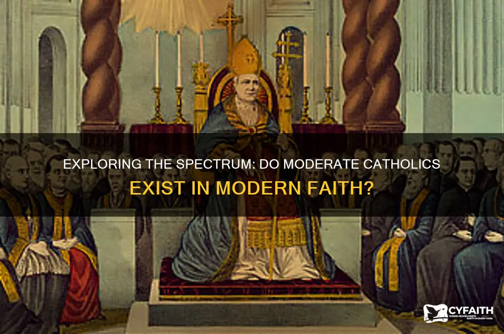 are there moderate catholics