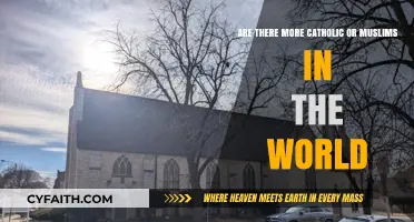 Comparing Global Faiths: Catholic vs. Muslim Populations Worldwide