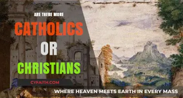 Who's the Majority? Catholics vs Christians