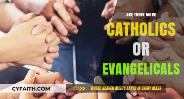 The Battle of Christians: Catholics vs Evangelicals