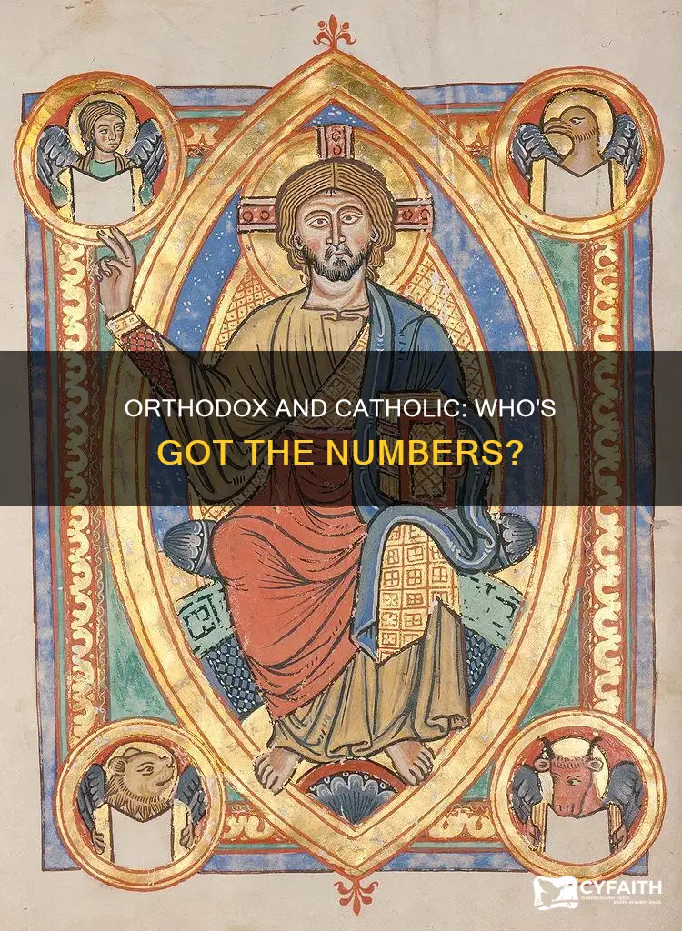 are there more orthodox or catholic