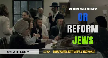 Orthodox vs. Reform Jews: Which Denomination Has More Followers?