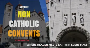 Exploring Non-Catholic Convents: Diverse Faiths, Shared Devotion, and Community Life