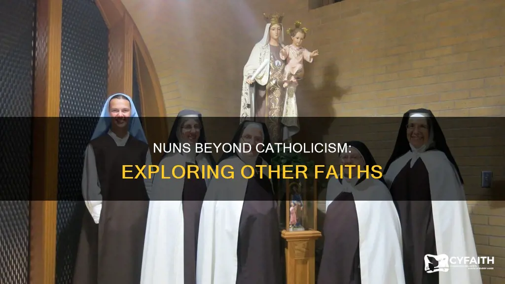 are there nuns other than catholic