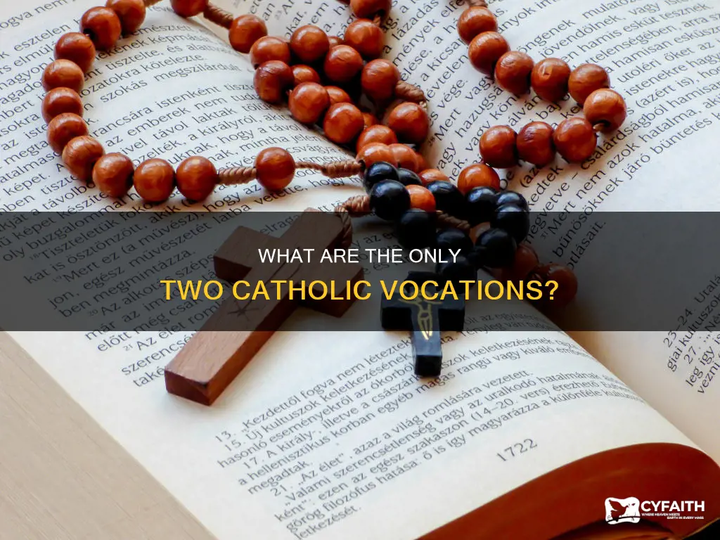 are there only two vocations catholic