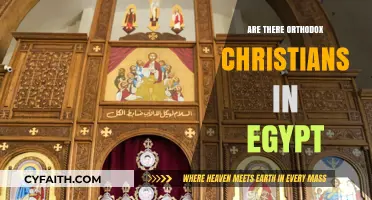 Exploring Egypt's Orthodox Christian Presence: A Historical and Cultural Overview