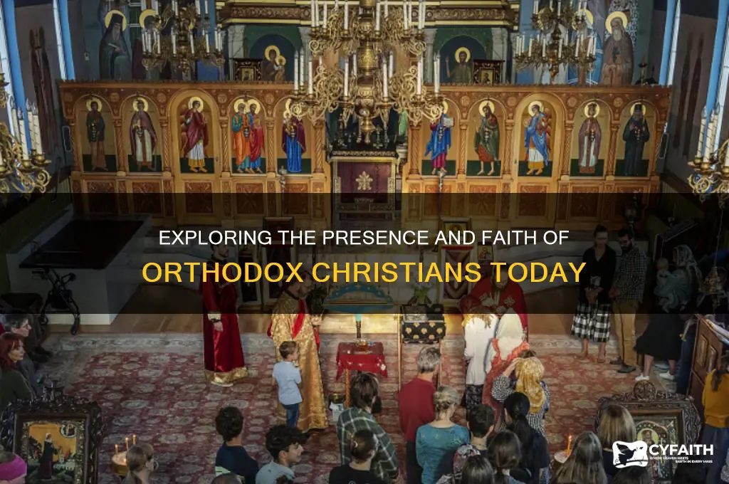 are there orthodox christians