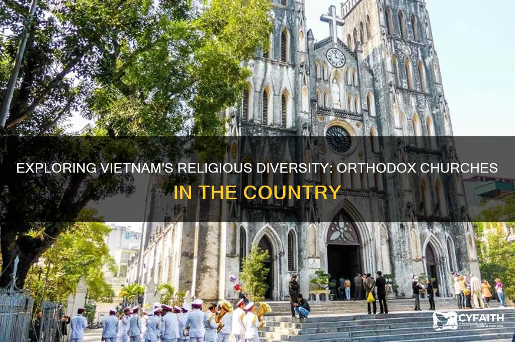are there orthodox churches in vietnam