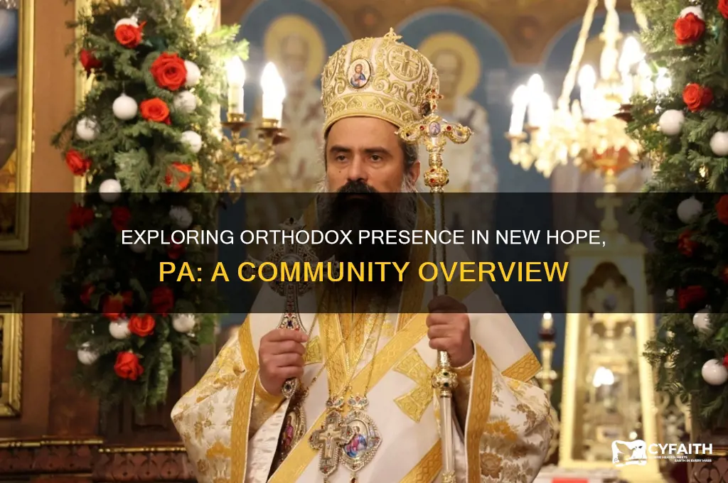 are there orthodox in new hope pa
